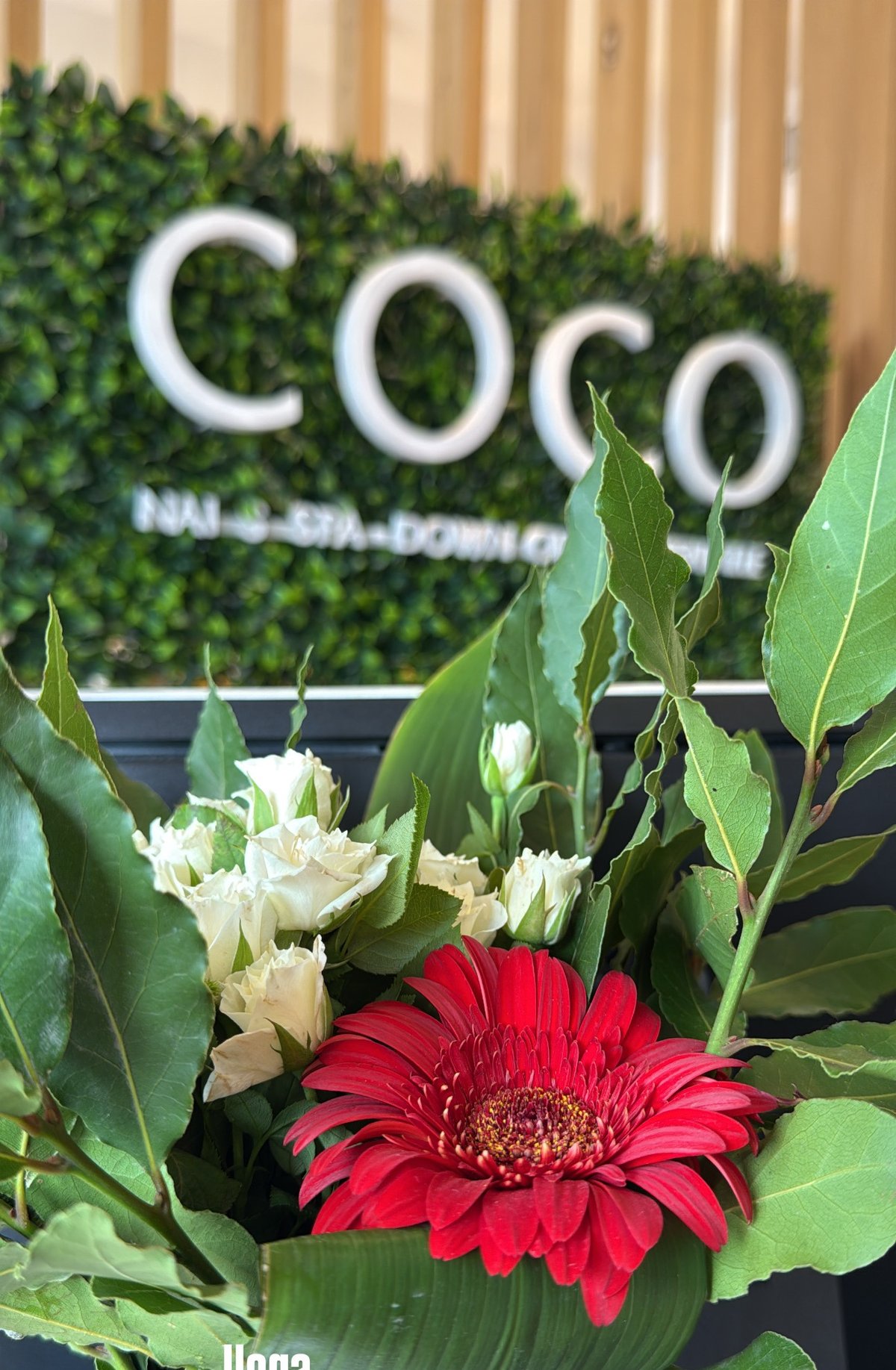 Coco Nails Spa